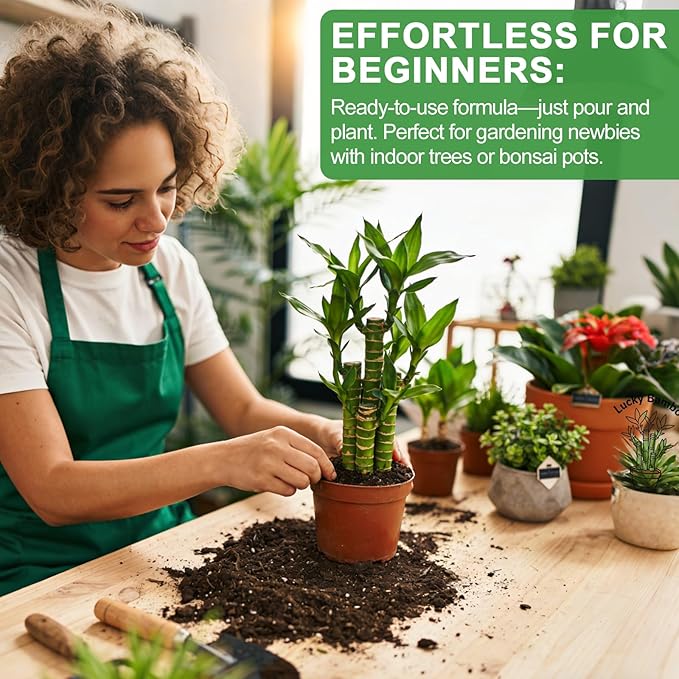 Pure Natural Potting Soil for Lucky Bamboo Plants 4qt- Superior Drainage & Breathability, Ideal Indoor Plant Soil