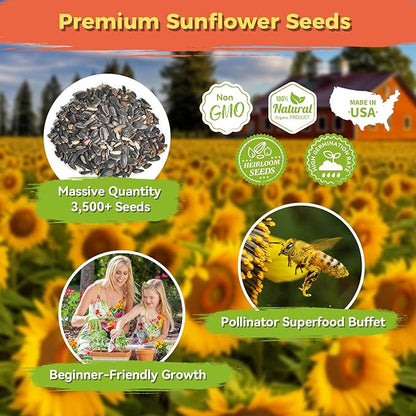Sunflower Seeds for Planting | Giant Mammoth Sunflower Bulk Packet 3000+ Heirloom Seeds | High Germination, Open Pollinated Sunflower Seeds to Plant for Home Garden, Outdoors & Attracts Pollinators