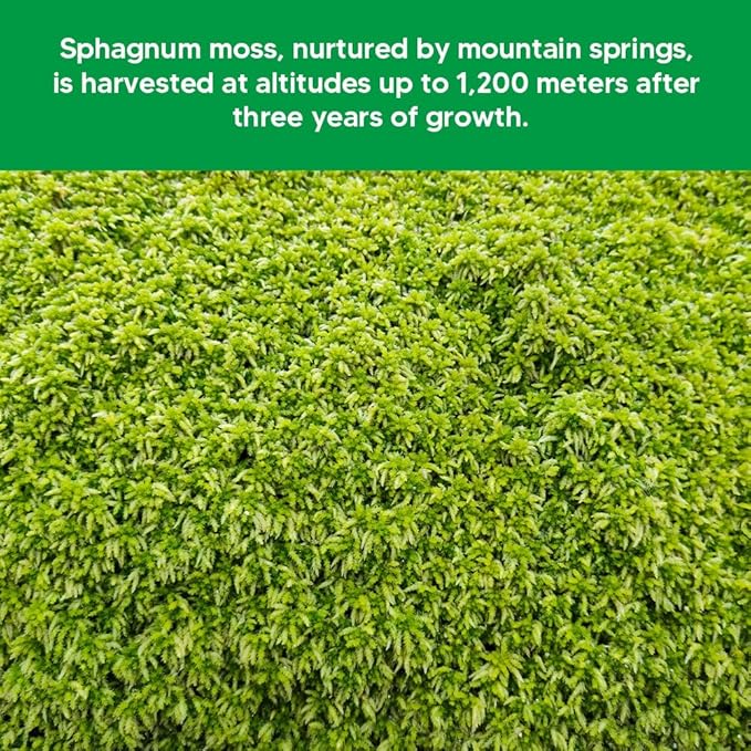 Natural Long Fiber Sphagnum Moss 1196QT for Orchid Potting Mix, and Moss Pole for Plants Indoor. Ideal for Propagating Plants, Maintaining Humidity for Reptiles, Isopods in Paludarium (22 lb)