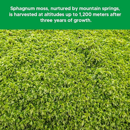 Natural Long Fiber Sphagnum Moss 1196QT for Orchid Potting Mix, and Moss Pole for Plants Indoor. Ideal for Propagating Plants, Maintaining Humidity for Reptiles, Isopods in Paludarium (22 lb)