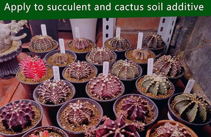 Horticultural Akadama Soil - Cactus Bonsai Succulent Soil Additive for Plants, Landscaping, Vase Fillers (10 LB, 1/8 inch Hard-Grade Akadama)
