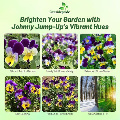 Outsidepride Johnny Jump Up Viola Wild Flower Seeds - 5000 Pcs Easy-to-Grow, Compact & Hardy Perennial Seeds for Planting Outdoors, Ideal for Pollinators, Garden Beds, Containers, & Hanging Baskets