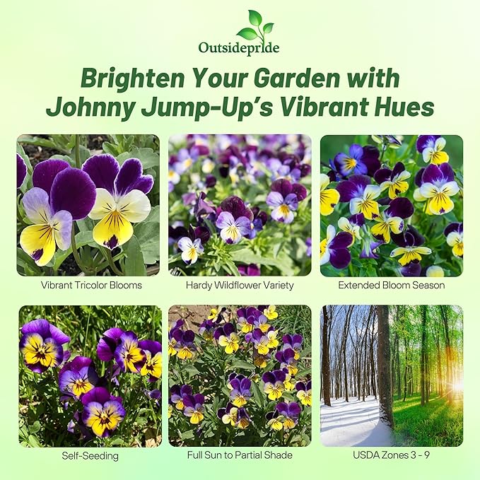 Outsidepride Johnny Jump Up Viola Wild Flower Seeds - 1/8 lb Easy-to-Grow, Compact & Hardy Perennial Seeds for Planting Outdoors, Ideal for Pollinators, Garden Beds, Containers, & Hanging Baskets