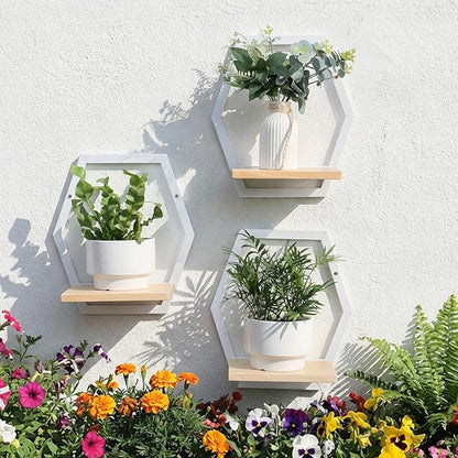 Modern White Hexagon Wall Planters with Solid Wood Shelves Set of 3 Geometric Floating Wall Decor for Indoor Plants, Stylish Wall Mounted Display for Succulents & Small Plants