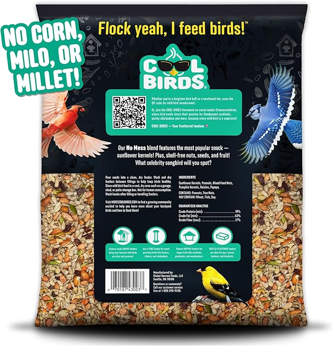 No Mess with Fruit Wild Bird Seed – 10 lb. 100% Edible Shell-Free Blend with Sunflower Hearts, Peanuts, Tree Nuts, Pumpkin Seed & Real Fruit – No Waste Bird Seed for Outside Feeders
