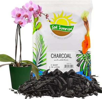 Soil Sunrise Horticultural Charcoal for Indoor Plants (4 Quarts) Hardwood Soil Additive for Orchids, Terrariums, and Gardening