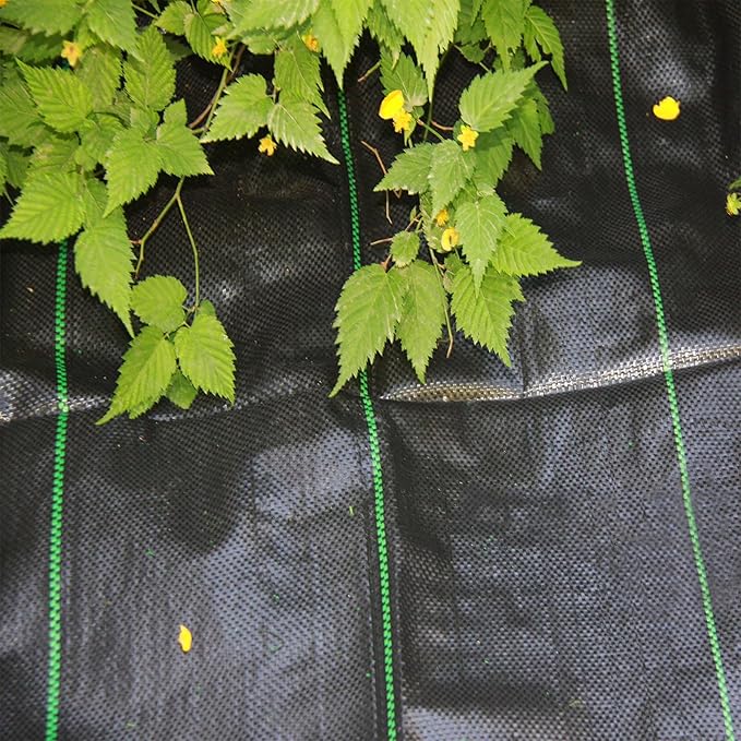 MTB 6 Ft Width by 150 Ft Length Landscape Fabric, Woven Weed Barrier, PP Black