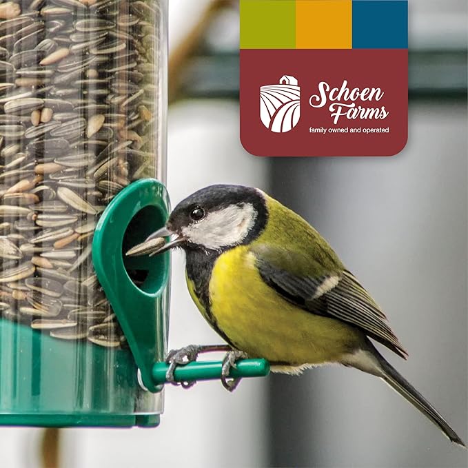 Schoen Farms Striped Sunflower Seeds – Shelled & Hulled Bird Food – 10 lb Bag – Premium Wild Bird Seed for Cardinals, Jays & Finches