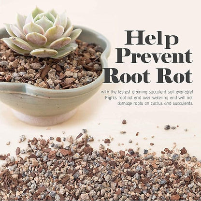 Bonsai Jack Succulent, Cactus and Bonsai Soil - Jacks Gritty Mix - 1 Gallon – Fast Draining – Fight Root Rot – Optimized pH …