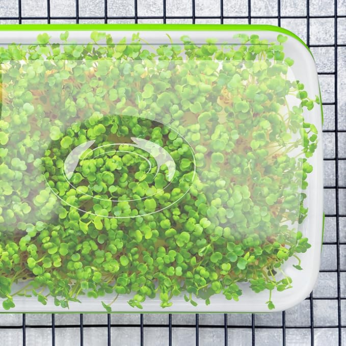 Seed Sprouter Tray with Drain Holes,Seed Germination Tray Kit BPA Free Nursery Tray,Soil-Free Big Capacity Healthy Wheatgrass Grower Sprouting Container (3 Pack with lid-Green)