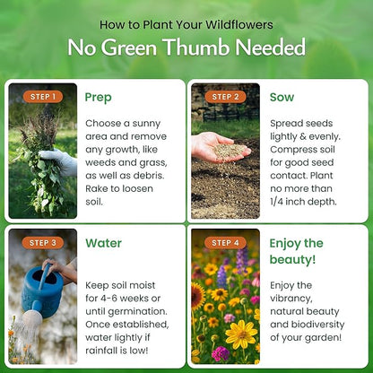 Created By Nature Minnesota Wildflower Seed Mix, 16 Flower Varieties, 40,000+ Seeds