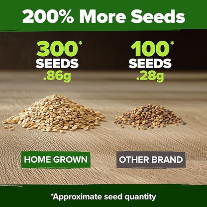 HOME GROWN Beefsteak Tomato Seed Pack - 300 Heirloom Tomato Seeds for Planting Outdoors High-Yield Non-GMO Vegetable Seeds for Growing Large, Meaty Tomatoes for Summer Dishes (Solanum lycopersicum)