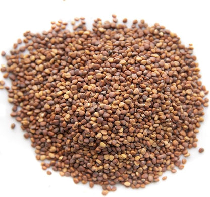 Rainbow Radish Sprouting Seed Mix | Heirloom Non-GMO Seeds for Sprouting & Microgreens | Contains Red Arrow, Purple Triton & White Daikon Radish Seeds 1 lb Resealable Bag | Rainbow Heirloom Seed Co.