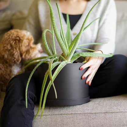 Bloem Mathers 6" Black Round Modern Resin Garden Planter Pot with Drainage Holes and Removable Saucer Tray Included