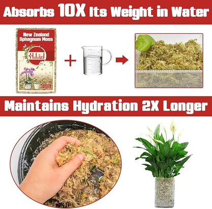 Halatool Premium New Zealand Sphagnum Moss, 500g(40L When Hydrated), for Orchid Repotting Succulent Sarracenia Potted Plants Gardening & Reptiles