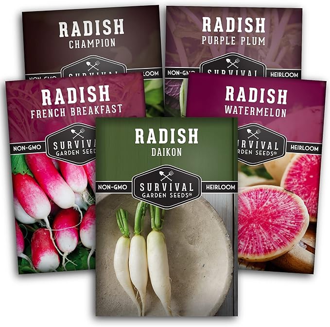 Radish Seeds Variety Pack – 5 Packets | Heirloom Non-GMO Radishes for Planting: Daikon, Watermelon, Purple Plum, French Breakfast & Champion – Survival Garden Seeds
