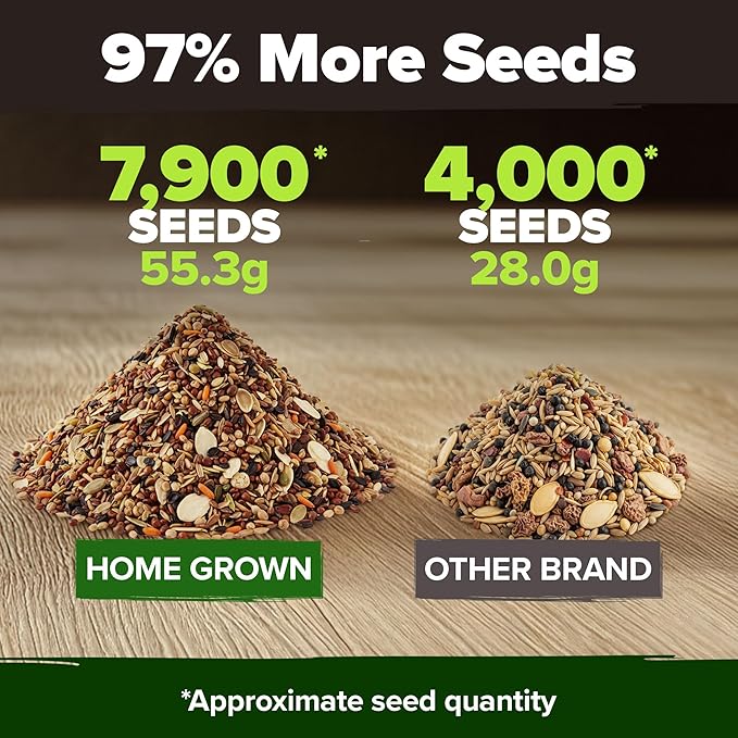 HOME GROWN 12 Winter Vegetable Seeds Heirloom,Fall & Winter Vegetable Seeds for Planting Home Garden: Bean, Beet, Broccoli, Cabbage, Carrot, Cauliflower, Kale,Parsnip,Squash,Chard & More