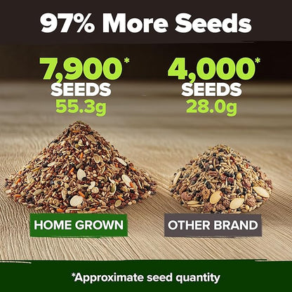 HOME GROWN 12 Winter Vegetable Seeds Heirloom,Fall & Winter Vegetable Seeds for Planting Home Garden: Bean, Beet, Broccoli, Cabbage, Carrot, Cauliflower, Kale,Parsnip,Squash,Chard & More