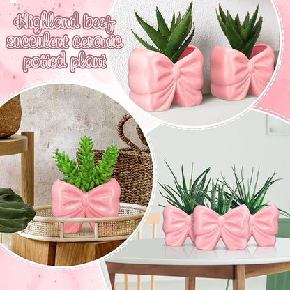 2 Pcs Coquette Bow Succulent Pots with Drainage Pink Bowtie Ceramic Planter Pots Plants Holder Bowtie Shaped Cactus Flower Container for Home and Office Desk Display Coquette Party Decoration