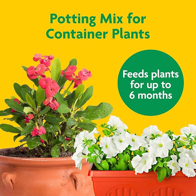 Miracle-Gro 10 Pack Potting Soil Mix for Container Plants, Flowers, Vegetables, Shrubs, Annuals, and Perennials, Feeds for Up to 6 Months, 2 Cu Ft
