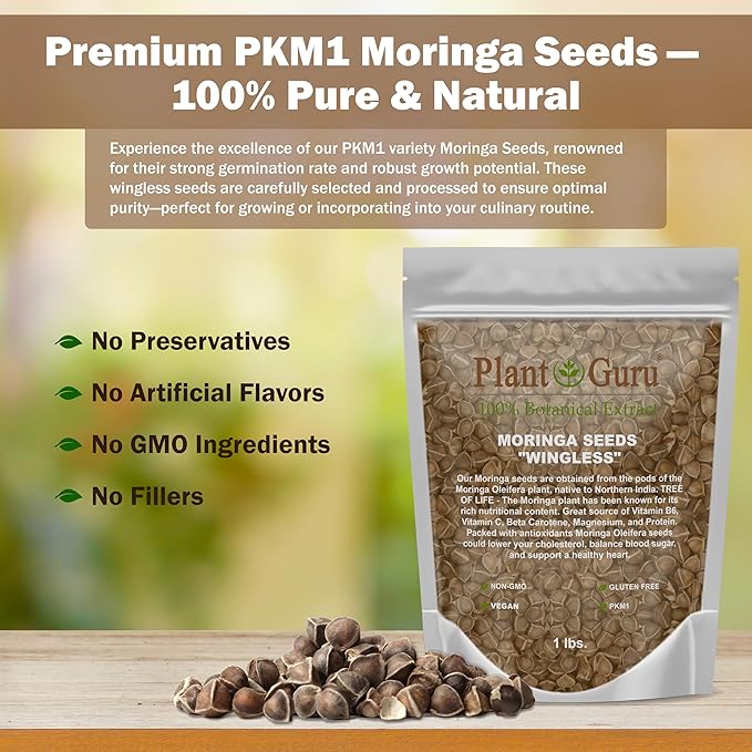 Moringa Seeds Wingless 1 lb. Wide Mouth JAR - PKM1 Variety - Edible Snacking - Planting - Moringa Oleifera - Malunggay - Semillas De Moringa - Drumstick Tree - Non-GMO - 1600 to 2000 Seeds