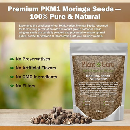 Moringa Seeds Wingless 1 lb. Wide Mouth JAR - PKM1 Variety - Edible Snacking - Planting - Moringa Oleifera - Malunggay - Semillas De Moringa - Drumstick Tree - Non-GMO - 1600 to 2000 Seeds