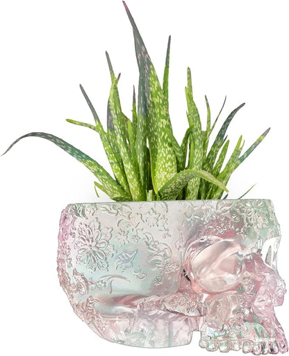 Iridescent Skull Planter Pot 6 Inch Skeleton Head Pot Succulents Flowers, & Bowl Dish Gothic Decor for Garden Home Parties Haunted House Spooky Black Display Halloween Skull Flower Pot Decoration Gift