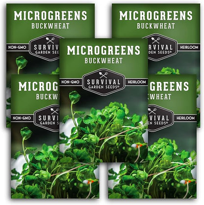 Buckwheat Microgreen Seeds for Sprouting - Non-GMO Heirloom Buckwheat Seeds to Grow Mild, Nutty Microgreens - Indoors or Hydroponic - Fast Growing - Survival Garden Seeds (5 Packs)