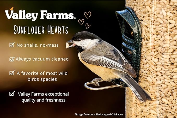 Valley Farms Whole Sunflower Hearts for Birds (15 LB) Clean Shelled Sunflower Seeds, No Mess Wild Bird Seed for Outside Feeders