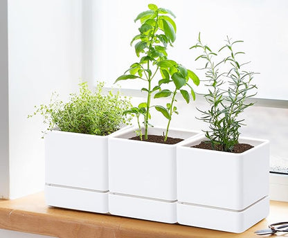 D'vine Dev 4 Inch Herb Planter Pot, Plastic Planter with Drainage Holes and Saucer, Modern Decorative Gardening Pot for Indoor Plants, Flowers, Herbs, Succulents, White, Set of 6, 76-Y-A6-1