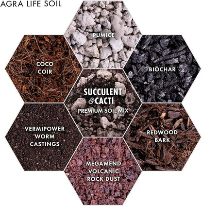 Premium Succulent Soil Mix for Indoor & Outdoor Plants - Fast-Draining Potting Soil for Succulents, Cacti, & Houseplants - Natural Blend with Pumice for Optimal Plant Growth - 4 Quarts