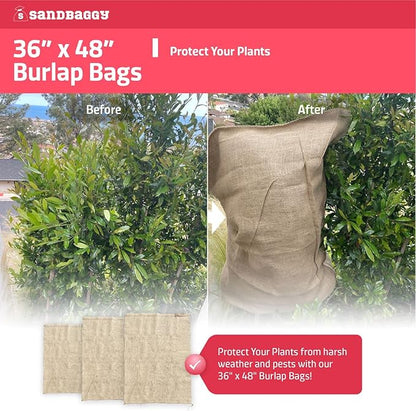 Sandbaggy Extra Large 36" x 48" Burlap Bags - Adult Potato Sack Racing, Grow, Plant Covers - Reusable Grocery Bags - Food Grade (2)