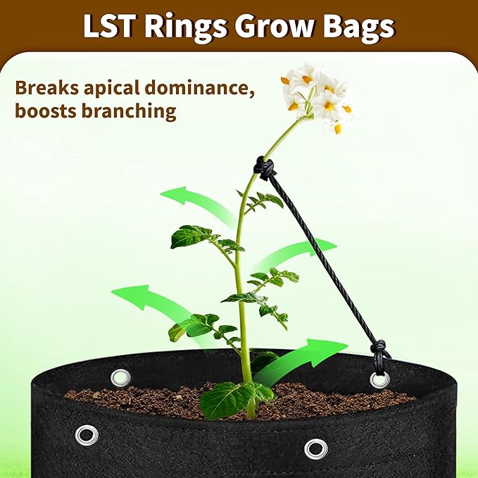 10 Gallon Grow Bags 4-Pack with Viewing Window & Harvest Flap, Heavy Duty Non-Woven Fabric Potato Grow Bags with Reinforced Handles for Vegetables, Tomatoes, Carrots, Onions