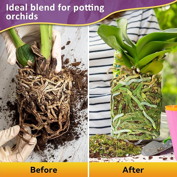 Riare 4QT Orchid Potting Mix for Repotting- Orchid Repotting Kit Include Moss, Pine Bark, Perlite, Coco Peat- Premium Orchid Soil Medium for Indoor Potted Plants Root Ventilation & Expanding