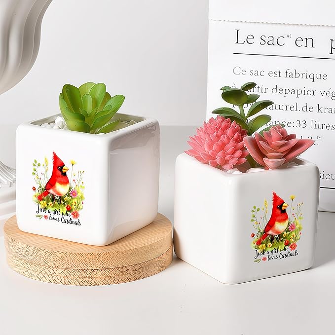 Cardinal Succulent Planter Flower Plant Pot Small, Gifts for Women Teens Girls Kids, Cardinal Lovers Themed Stuff Accessories Things Decor Merch, Home Office Table Desk Decoration!