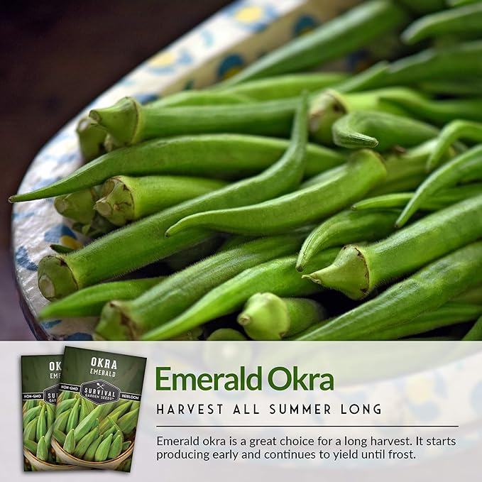 Survival Garden Seeds - Emerald Okra Seed for Planting – 1 Packet with Instructions to Grow Tender, Large Okra Plant Pods in Your Home Vegetable Garden – Non-GMO Heirloom Variety Seed