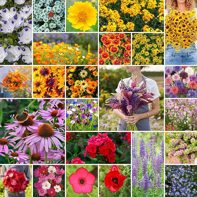 Eden Brothers Southeast Wildflower Mixed Seeds for Planting, 5 lb, 2,400,000+ Seeds with Cornflower, Blanket Flower | Attracts Pollinators, Plant in Spring or Fall, Zones 3, 4, 5, 6, 7, 8, 9, 10