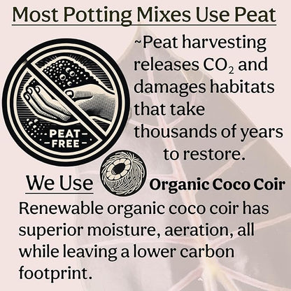 Craft Organic Houseplant Potting Mix, Elite House Plant Soil, Chunky, Well Draining Potting Soil for All Indoor Plants, Tropical Plants & Flowers, Sustainable & Peat Free, Less Prone to Gnats, 2QT