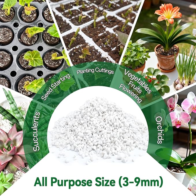 ZeeDix 6QT Organic Perlite Horticulture Soil Amendment for Plants, 3-9mm Granule Size Potted Plant Soil for Orchid Cactus Succulents Carnivorous Monstera Repotting, Indoor Outdoor Gardening