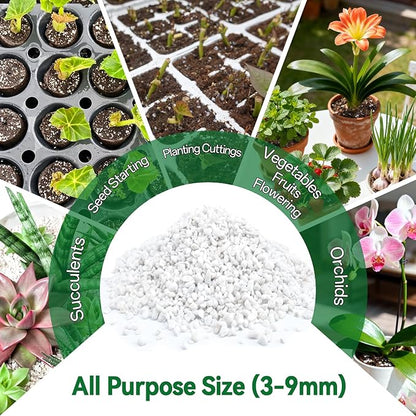 ZeeDix 6QT Organic Perlite Horticulture Soil Amendment for Plants, 3-9mm Granule Size Potted Plant Soil for Orchid Cactus Succulents Carnivorous Monstera Repotting, Indoor Outdoor Gardening