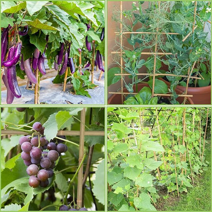 Plant Stakes,3FT Longer Sturdy Natural Bamboo Garden Stakes,GAGINANG 25Pcs Bamboo Sticks Trellis Support for Tomato, Vegetables Beans Trees Climbing Plants