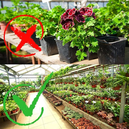 6 Inches Plastic Plants Nursery Seed Starting Pots Planter Planting Seedling Pots Seedling Flower Plant Container for Garden Cutting Transplanting (200 Pcs)