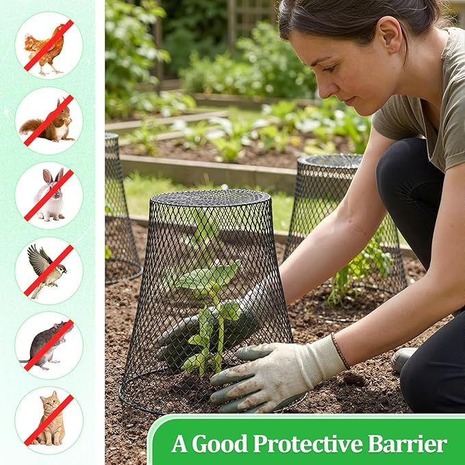 Therwen 20 Pcs Large Chicken Wire Cloche Plant Protector Cover 11x12 Inch Metal Garden Cloche Dome for Plants Wire Protection Basket with Garden Stakes Plant Cages from Animals (Black)