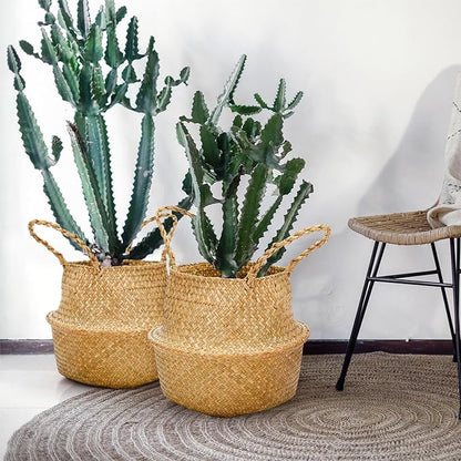 Qunclay 8 Pcs Woven Seagrass Baskets Belly Basket Folding Boho Natural Plant Pot with Handles Round Decorative Wicker Large Indoor Planter for Home Outdoor Tree Planters Decor (L,13''dx11''h)