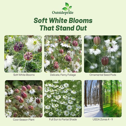 Outsidepride Jewels Marbles Nigella Seeds - 1000 Pcs Annual Flower Seeds for Planting with Vibrant Blooms & Lacy, Fern-Like Foliage, Attractive Cut Flower for Small Garden Spaces & Floral Arrangements