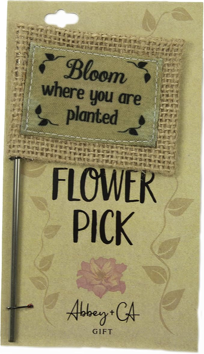 Cathedral Art Abbey & CA Gift Bloom Where Planted Flag Flower Pick, One Size, Multi
