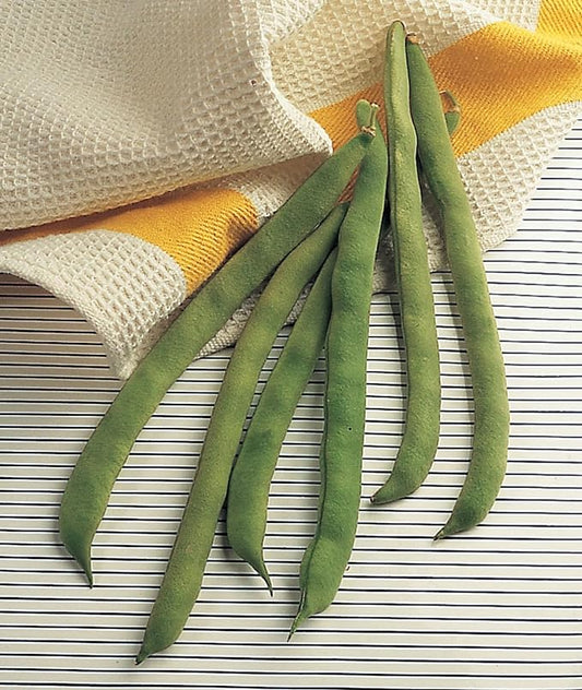 Burpee 'Kentucky Wonder' Pole Bean Seeds, 2 ounces of Non-GMO Seed, Heirloom
