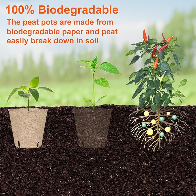 60 Packs 3.15 Inch Peat Pots,Biodegradable Pots for Seedlings with Drainage Holes, Garden Germination Nursery Pots with 50Pcs Plant Labels