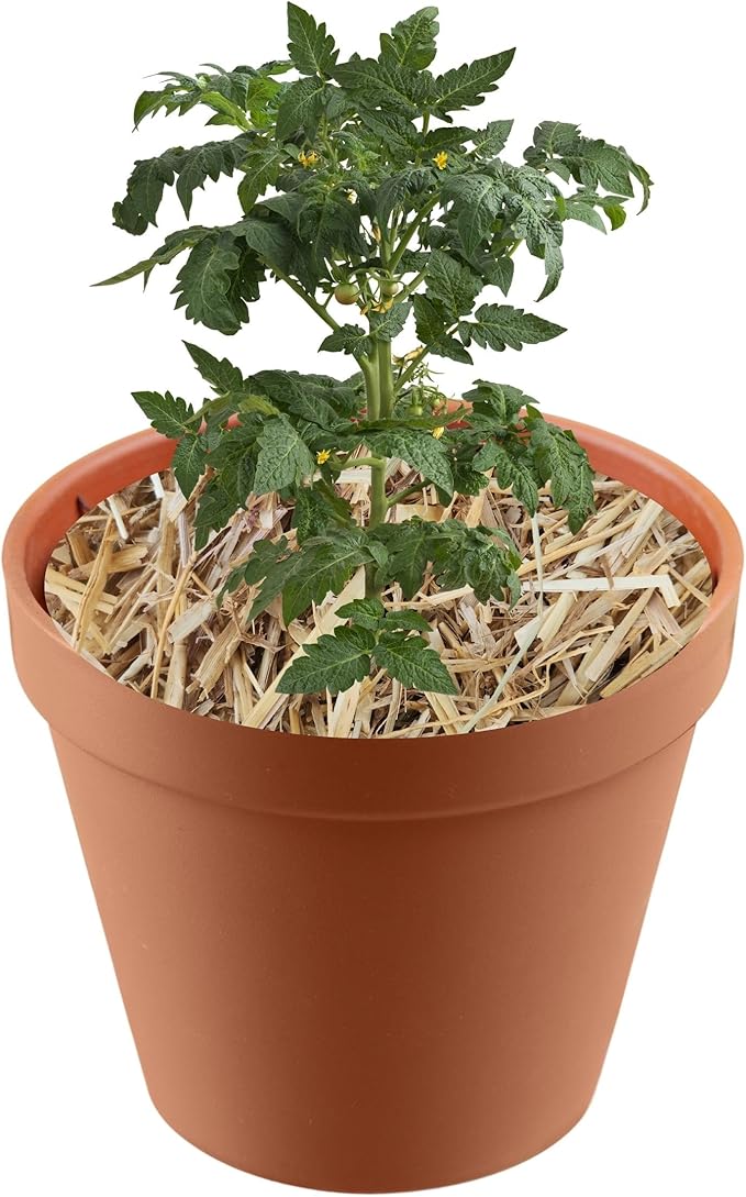 Premium Wheat Straw Mulch - Eco-Friendly Straw Mulch in Convenient Bags of Mulch for Gardens, Landscaping, and Ground Cover, Hand Packed in The USA Half-Quart