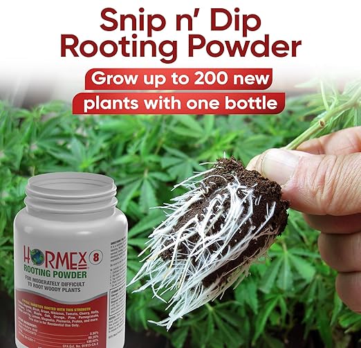 Hormex Rooting Powder #8 (0.80% IBA) for Semi-Hardwood Plants, Trees & Shrubs - High Strength Root Powder, Root Stimulator for Plants, Rooting Hormone for Cuttings, Cloning, & Woody Propagation